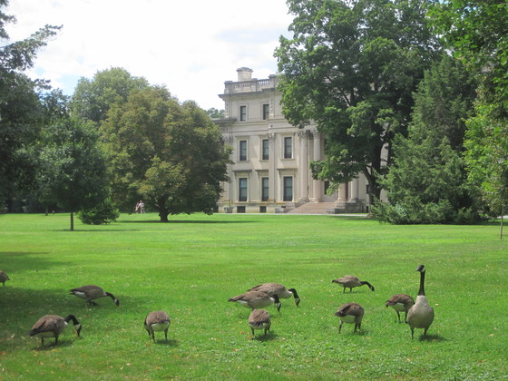 Vanderbilt Mansion