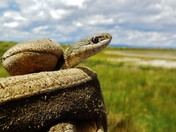 Hutton Lake National Wildlife Refuge
