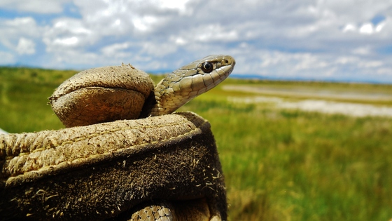 Hutton Lake National Wildlife Refuge