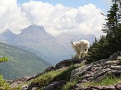 Glacier National Park
