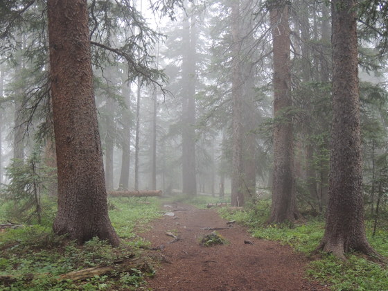 Mt. Sneffels Wilderness 