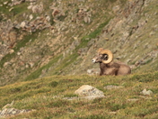 Rocky Mountain National Park
