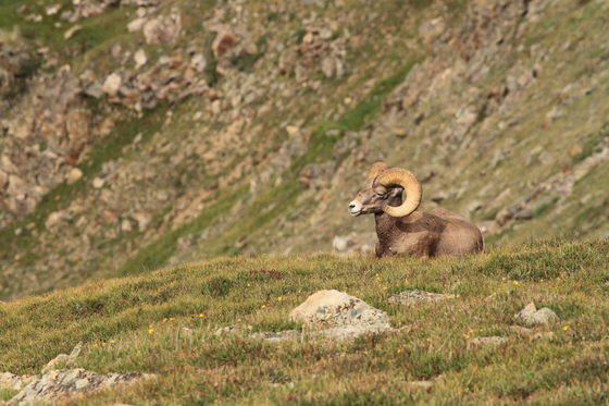 Rocky Mountain National Park