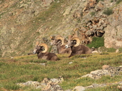 Rocky Mountain National Park
