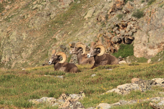Rocky Mountain National Park