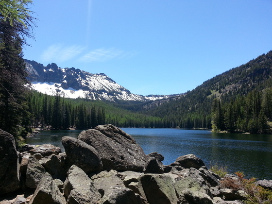 Blue Mountain National Forest 