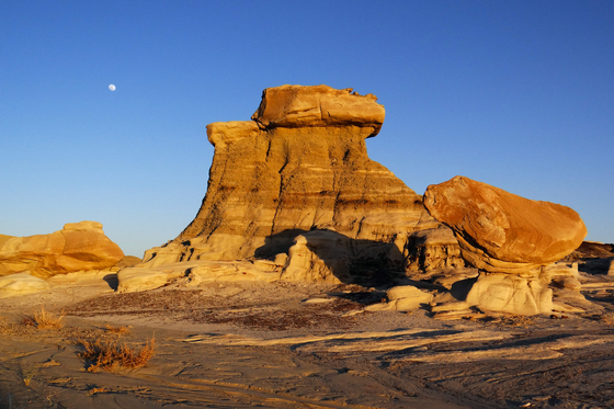 Bisti/De-Na-Zin Wilderness