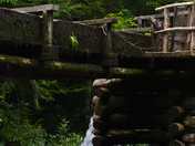 Great Smoky Mountains National Park