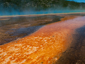 Yellowstone National Park