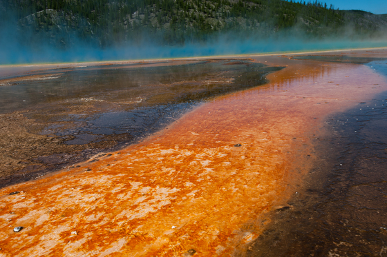 Yellowstone National Park