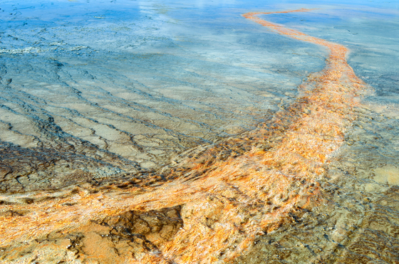 Yellowstone National Park