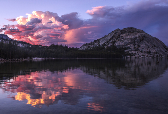 Yosemite National Park