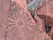 Saguaro NP (West)