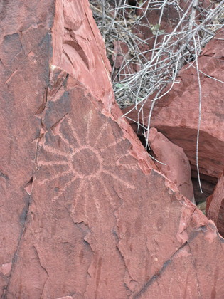 Saguaro NP (West)