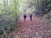 Big South Fork