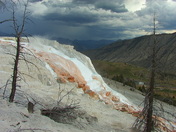 Yellowston National Park