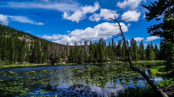 Rocky Mountain National Park