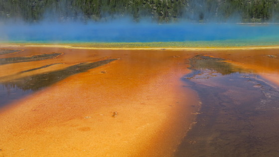 Yellowstone National Park