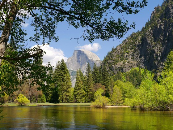 Yosemite National Park