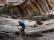 Natural Bridges National Monument