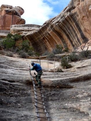 Natural Bridges National Monument