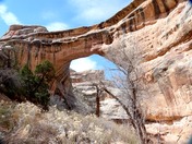 Natural Bridges National Monument