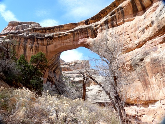 Natural Bridges National Monument