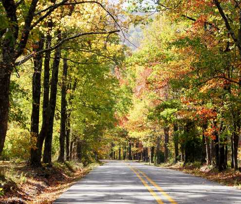 Ouachita Mountains