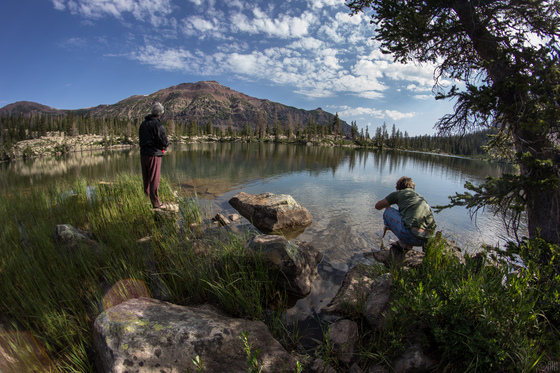 High Uintas Wilderness Area, Utah