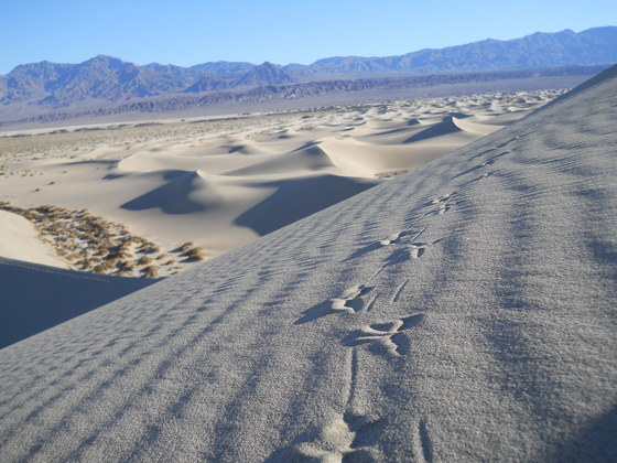 Death Valley National Park