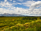 Grand Teton