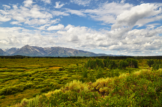 Grand Teton