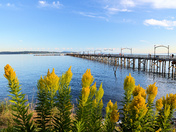 White Rock Pier