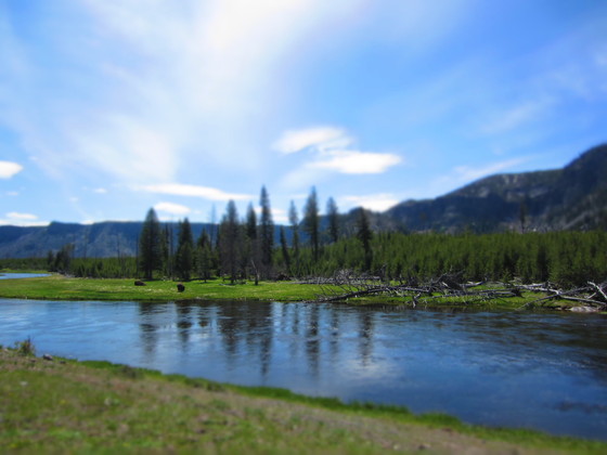 Yellowstone National Park