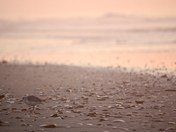 Cape Lookout National Seashore
