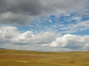 apache-sitgreaves national forest