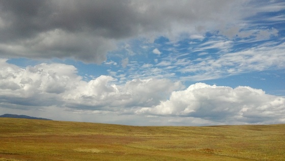 apache-sitgreaves national forest