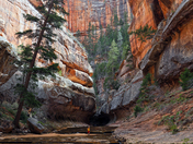 Zion National Park