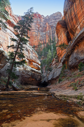 Zion National Park