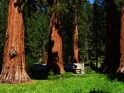 Yosemite National Park