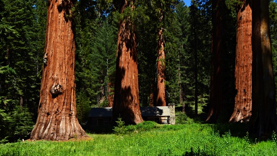 Yosemite National Park
