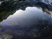 Sequoia National Park