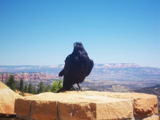 Bryce Canyon National Park 