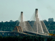 Port Mann Bridges