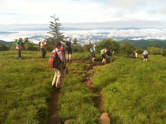 Great Smoky Mountains National Park