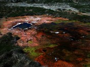 Yellowstone