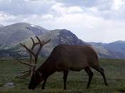 Rocky Mountain National Park