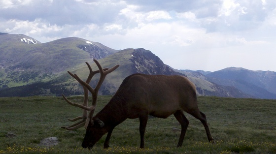 Rocky Mountain National Park