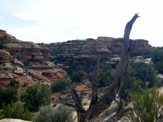 Canyonlands National Park