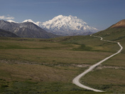 Denali National Park